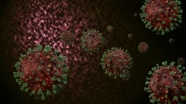 İngiltere&#039;de mutasyona uğrayan koronavirüse kapsamlı araştırma