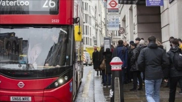 İngiltere'de maymun &ccedil;i&ccedil;eği vaka sayısı 56'ya &ccedil;ıktı