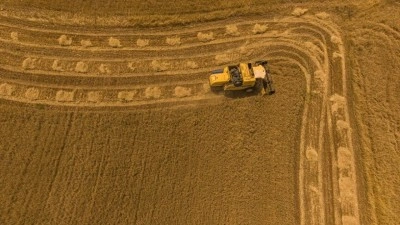 Irak'ta buğday hasadıyla birlikte pirin&ccedil; ekimi de başladı