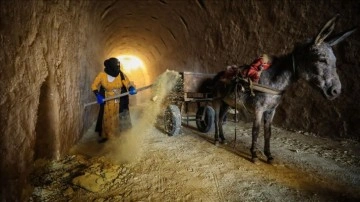 Iraklı kadınlar omuzlarında kerpiç taşıyarak ailelerini geçindirmeye çalışıyor