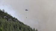 İran'daki Azerbaycan Türklerinden orman yangınlarıyla mücadele eden Türkiye'ye destek