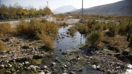 İran’daki benzeri görülmemiş kuraklığa iklim değişikliğinin yol açtığı belirlendi