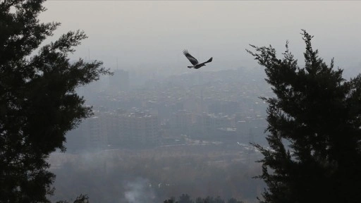 İran, hava kirliliğinin önlenmesi amacıyla Euro 5 benzin üretimini artırmayı hedefliyor