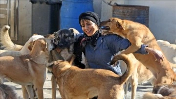 İranlı motosiklet yarışçısı ve oyuncu, kurduğu barınakta 150 köpeğe sahip çıkıyor