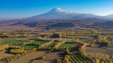 İrem Bağları'nda sonbahar renkleri dron ile görüntülendi