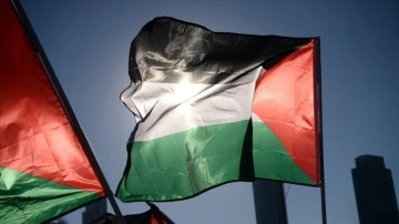 İrlanda'daki Dublin Belediye Meclisi, Filistin bayrağının göndere çekilmesini kabul etti