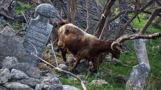 İskeçe Müftüsü Trampa, Osmanlı mezarlıklarını korumanın halkın doğal hakkı olduğunu söyledi