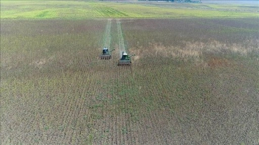 İşlenmeyen tarım arazilerinin ekonomiye kazandırılması için ilk kiralamalar kasımda başlayacak