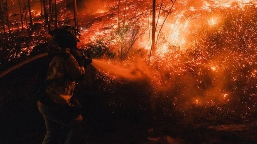 İspanya'da bu yıl 350 bin hektardan fazla ormanlık alan yandı