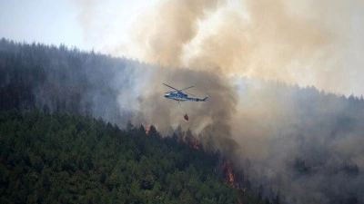 İspanya'da kontrol altına alınamayan orman yangınlarında 29 bin hektardan fazla alan k&uuml;l oldu