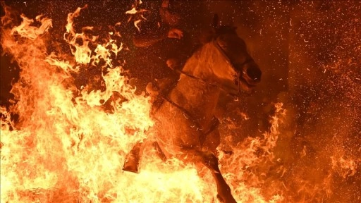 İspanya'da kutsanan atlar ateşin &uuml;zerinden atlatıldı