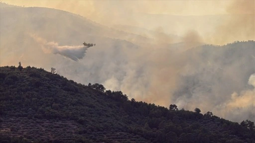 İspanya hafta sonuna Madrid ve Avila çevresindeki yangınlarla başladı