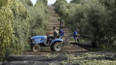 İspanya, Orta Doğu'daki &ccedil;atışmaların etkilerine cevap olarak tarım ve hayvancılığı destekleyece