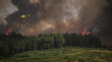 İspanya ve İtalya'daki orman yangınlarında on binlerce hektar yeşil alan zarar gördü