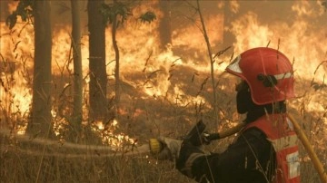 İspanya'da aşırı sıcaklar nedeniyle 30'dan farklı yerde orman yangını çıktı