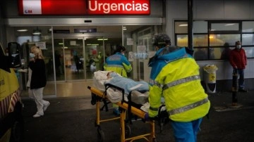 İspanya'da maymun &ccedil;i&ccedil;eği vakaları 84'e &ccedil;ıktı