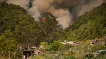 İspanya'nın Kanarya Adaları'nda orman yangını nedeniyle 5 köy tahliye edildi