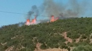 Isparta'da orman yangını