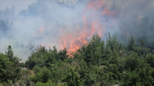 İsrail'in Lübnan'ın güneyine hava saldırıları orman yangınlarına yol açtı