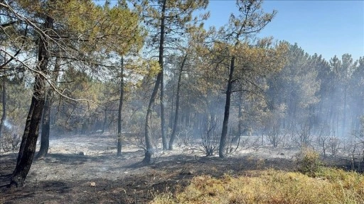 İstanbul'da Aydos Ormanı'nda çıkan yangın söndürüldü