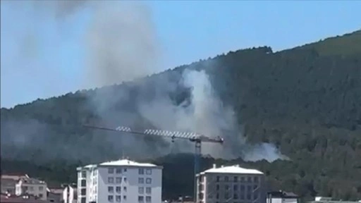 İstanbul'da Aydos Ormanı'nda yangın çıktı