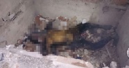 İstanbul’da bulunan yanmış cesedin kimliği belirlendi
