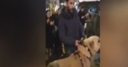 İstanbul'da Hollanda'ya kangallı protesto
