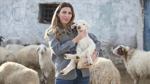 İstanbul'dan köyüne dönüp hayvancılığa başlayan kadın 3 yılda sürüsünü 4'e katladı