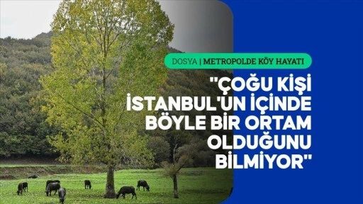İstanbul'un kalabalığına birkaç kilometre uzaklıkta doğal köy yaşamı sürüyor