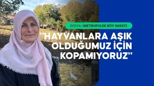 İstanbul'un köy hayatı süren mahallelerinde stresten uzak organik yaşam