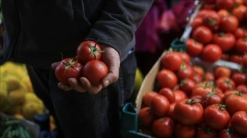 İstanbullular 2023'te en çok domates ve karpuz tüketti