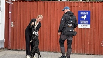 İsveç'te barınak ve yerel yönetimlerin işbirliği sahipsiz hayvan sorununu ortadan kaldırdı