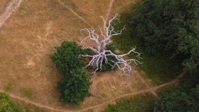 İsvi&ccedil;re, El Nino hava olayıyla birlikte kuraklığın daha sık yaşanabileceğini bildirdi