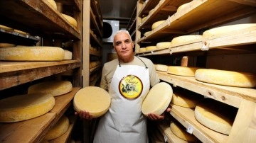 İsviçre'deki Alpler'den Cezayir'deki Atlas Dağları'na uzanan bir peynir hikayesi