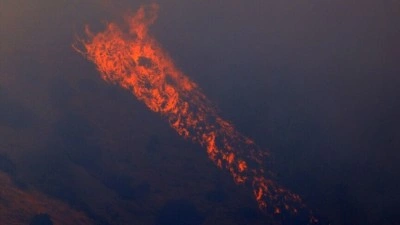İtalya'da aşırı sıcaklar ve orman yangınlarıyla m&uuml;cadele ediliyor