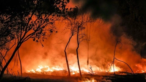 İtalya'da farklı noktalardaki orman yangınları hayatı olumsuz etkiledi