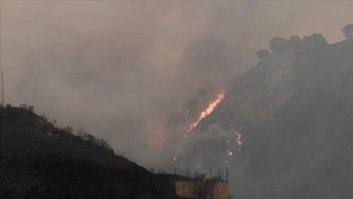 İtalya'nın Sardinya Adası'nda 20 farklı noktada orman yangını çıktı