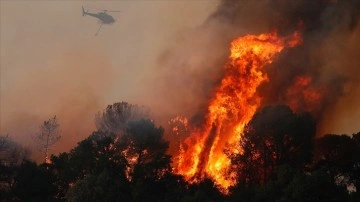 İtalya'da birçok noktada çıkan orman yangınları hayatı felç etti