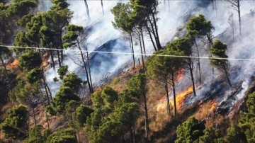 İtalya'da orman yangınlarını söndürme çalışmaları devam ediyor