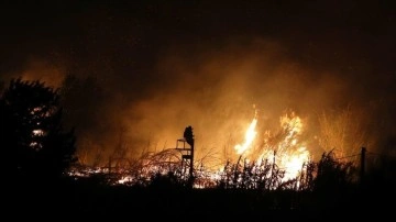 İtalya'nın Sicilya Adası'nda orman yangınları yerleşim yerlerini tehdit ediyor