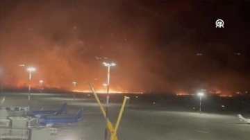 İtalya'nın Sicilya Adası'ndaki orman yangınları hava ulaşımını etkiledi