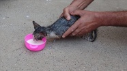 İtfaiye eri yavru kediyi kalp masajı ve suni teneffüsle kurtardı
