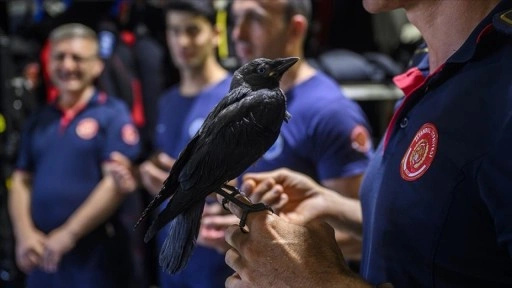 İtfaiye erleri tarafından kurtarılan "Zeytin" isimli karga istasyonun maskotu oldu