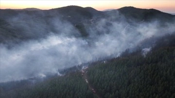 İzmir Bergama'da ormanlık alanda çıkan yangına müdahale sürüyor