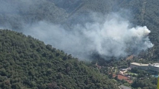 İzmir'de orman ve makilik alanda çıkan yangınlara müdahale ediliyor