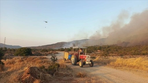 İzmir'de tarım alanında başlayan yangın ormana sıçradı