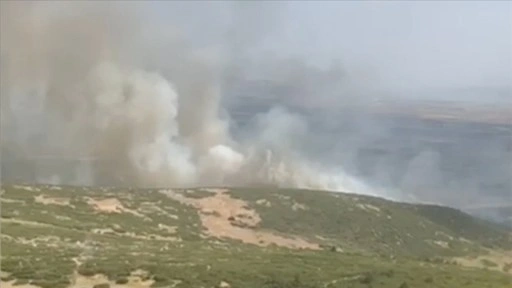 İzmir'de tarım arazisinde çıkan ve ormanlık alana sıçrayan yangına müdahale ediliyor