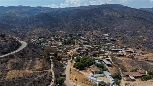 İzmir'deki orman yangınlarının yaraları sarılmaya çalışılıyor