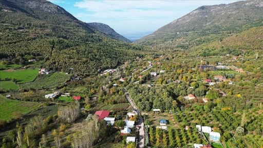 İzmir'deki Ovacık Yaylası, sonbahar renklerine büründü