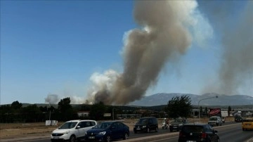 İzmir Gaziemir'de ormanlık alanda çıkan yangına müdahale ediliyor